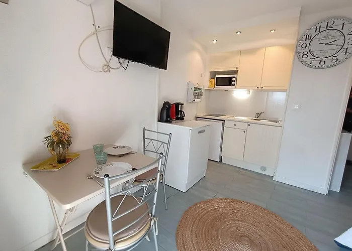Apartment Les Flamants Roses By Interhome